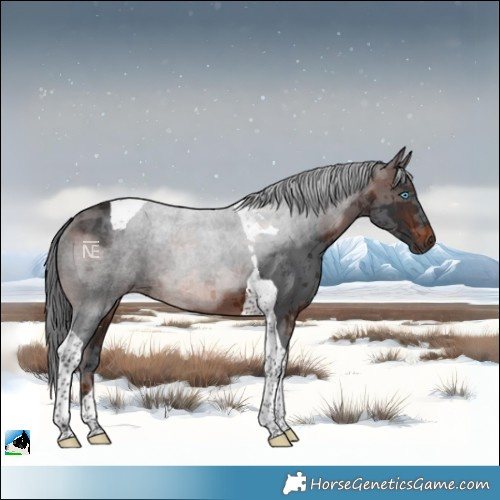 Horse Color:Brown Merle Tobiano 