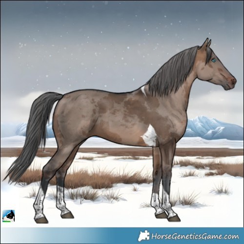 Horse Color:Brown Dun Merle Tobiano 