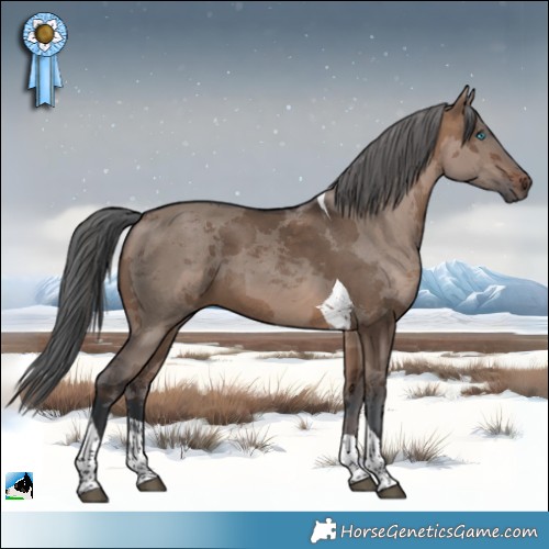 Horse Color:Brown Dun Merle Tobiano 