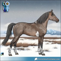 Horse Color:Brown Dun Merle Tobiano