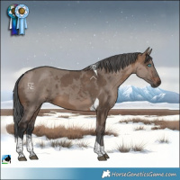 Horse Color:Brown Dun Merle Tobiano