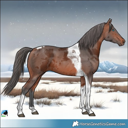 Horse Color:Bay Merle Tobiano 