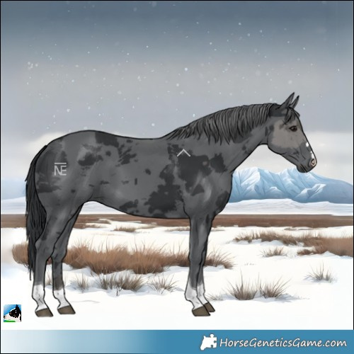 Horse Color:Black Merle Tobiano 