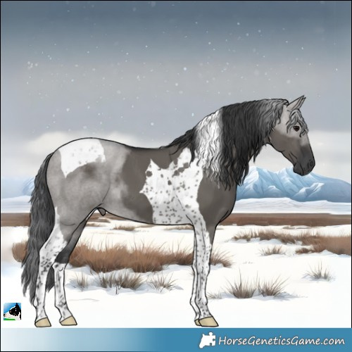 Horse Color:Grullo Tobiano