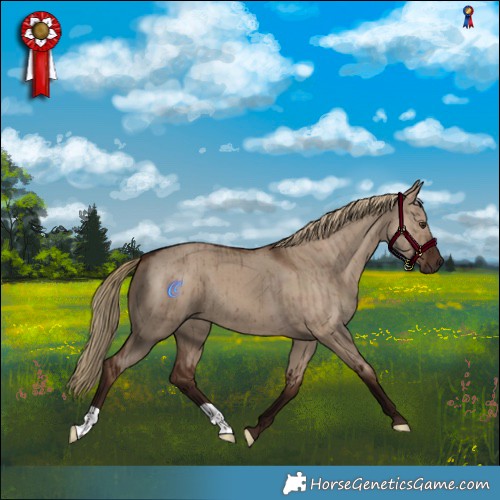 Horse Color:Liver Red Dun Brindle 