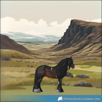 Horse Color:Gray White Spotted Brown Tobiano