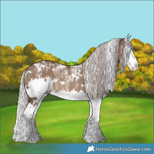 Horse Color:Powder White White Spotted Silver Grullo Splash Rabicano Brindle