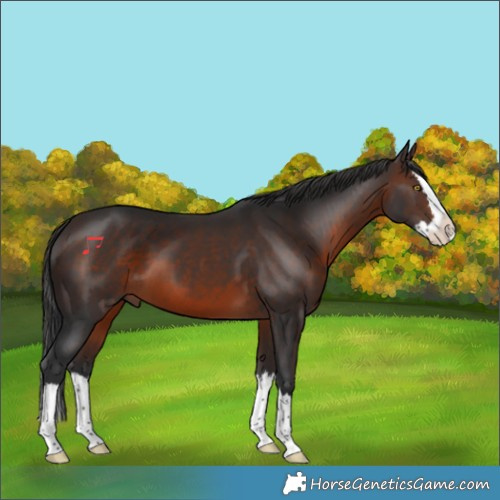 Horse Color:Brown Splash 