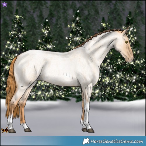 Horse Color:Red Dun Roan Pearl Tobiano Frame 