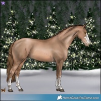 Horse Color:Liver Chestnut Pearl  and Liver Chestnut Pearl 