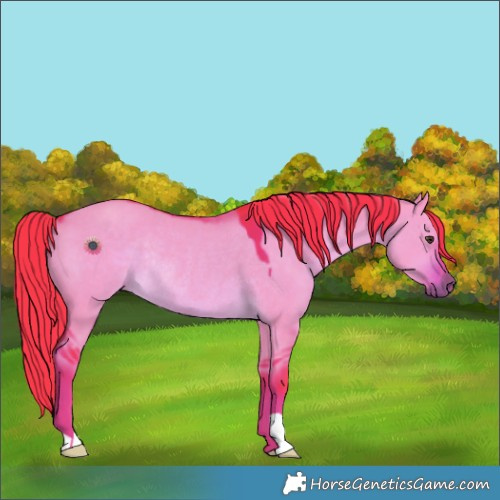 Horse Color:Watercolor Liver Red Dun Rabicano 