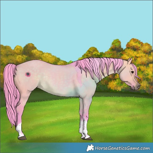Horse Color:Watercolor Brown Dun Tobiano Rabicano 