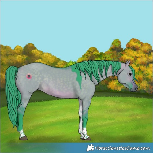 Horse Color:Watercolor Brown Dun Tobiano Rabicano 