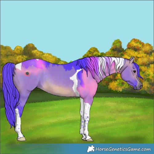 Horse Color:Watercolor Chocolate Brown Dun Tobiano Rabicano 