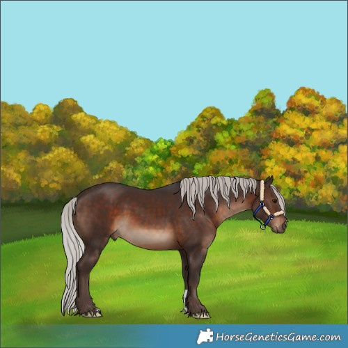 Horse Color:Silver Brown 