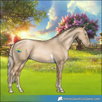 Horse Color:Chocolate Palomino Pearl Dun Tobiano Rabicano