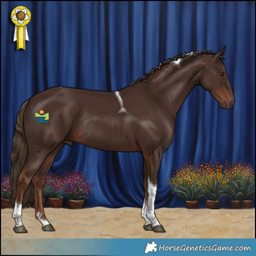 Horse Color:Liver Chestnut Tobiano Rabicano 