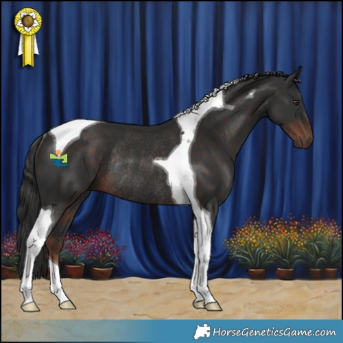 Horse Color:Liver Chestnut Tobiano Rabicano 