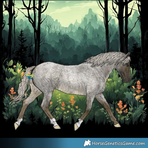 Horse Color:Silver Buckskin Roan 