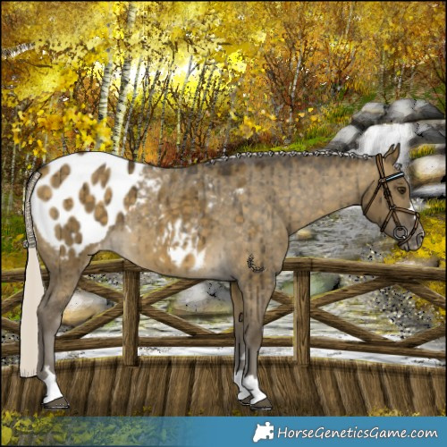 Horse Color:Silver Buckskin Dun Blanket Brindle 