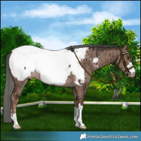 Horse Color:Liver Red Dun Mushroom Near Fewspot Brindle 