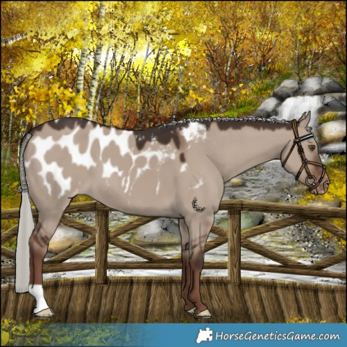 Horse Color:Liver Red Dun Mushroom Blanket 