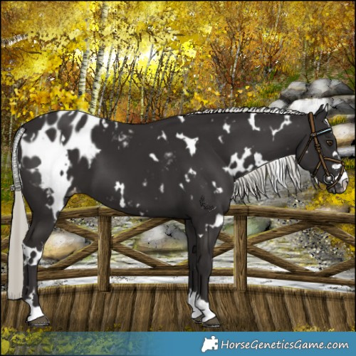 Horse Color:White Spotted Liver Chestnut Mushroom Blanket 