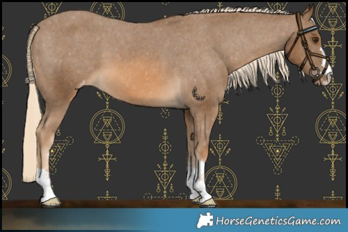 Horse Color:Chocolate Palomino Varnish 