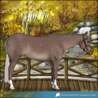 Horse Color:Chocolate Silver Black