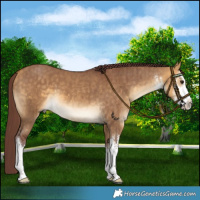 Horse Color:White Spotted Chocolate Buckskin Dun Brindle