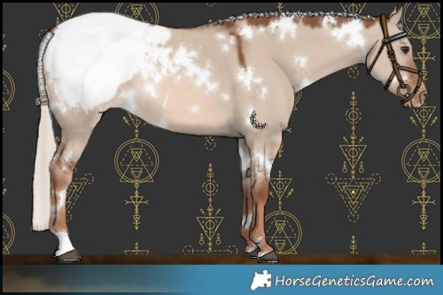 Horse Color:White Spotted Red Dun Mushroom Varnish 