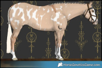 Horse Color:Red Dun Mushroom Blanket 