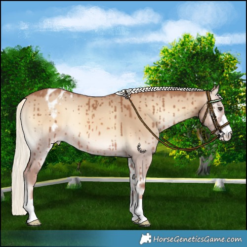 Horse Color:Red Dun Onyx Mushroom Varnish Brindle 
