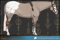 Horse Color:Liver Red Dun Mushroom Snowcap