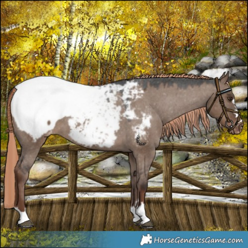 Horse Color:Liver Red Dun Snowcap 
