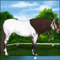 Horse Color:Brown Dun Mushroom Near Fewspot Brindle 