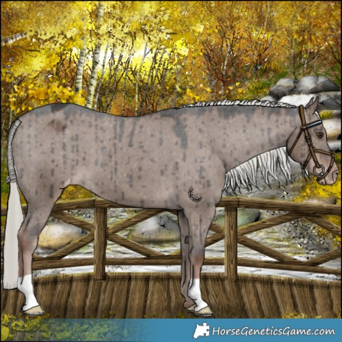 Horse Color:Liver Red Dun Mushroom Varnish Brindle 