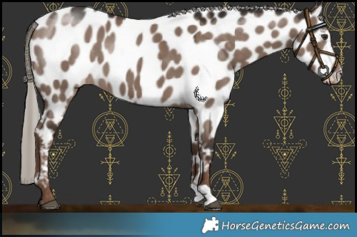 Horse Color:Liver Red Dun Mushroom Near Leopard 