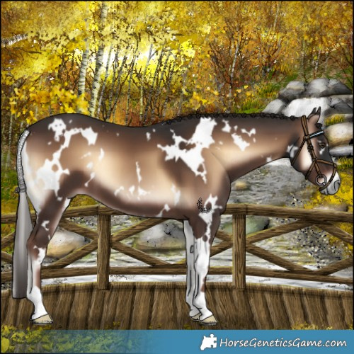 Horse Color:White Spotted Liver Red Onyx 
