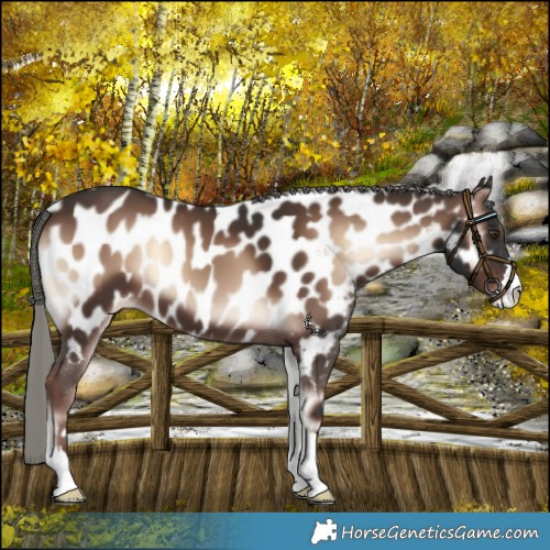 Horse Color:Liver Red Onyx Mushroom Near Leopard 
