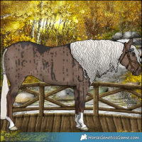 Horse Color:Liver Red Dun Mushroom Brindle