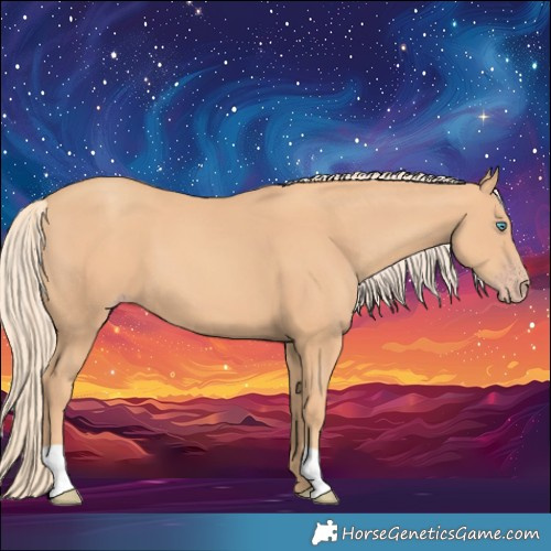Horse Color:Gold Champagne