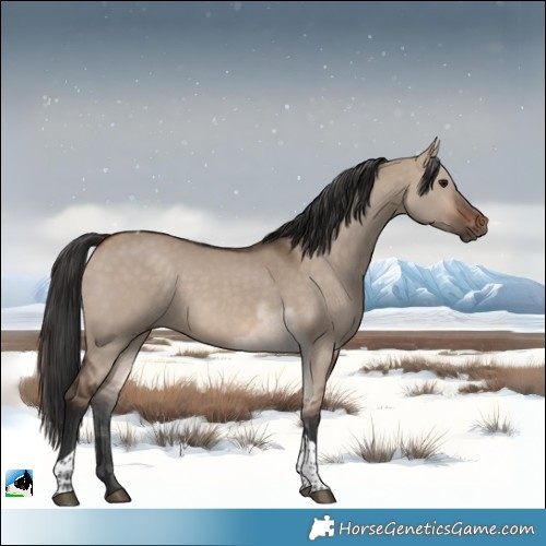 Horse Color:Brown Dun Tobiano 