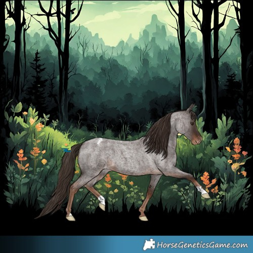 Horse Color:Liver Red Roan Appaloosa 