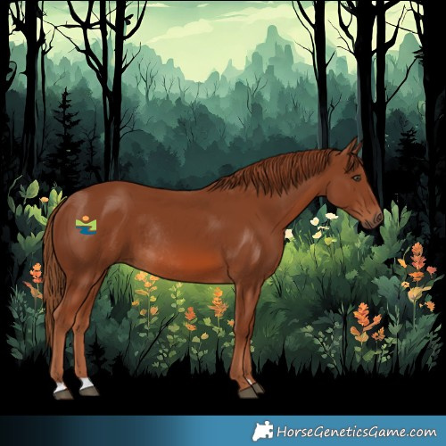 Horse Color:Chestnut Rabicano 