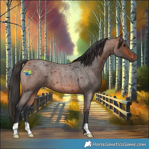 Horse Color:Bay Roan