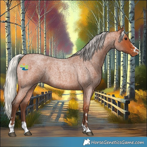 Horse Color:Silver Bay Roan Appaloosa