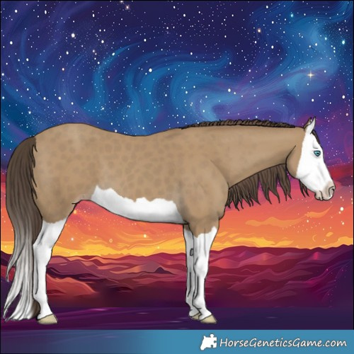 Horse Color:Classic Cream Champagne Splash