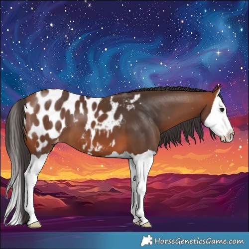Horse Color:Bay Splash Blanket 