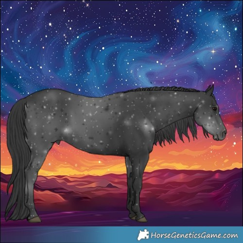 Horse Color:Black 